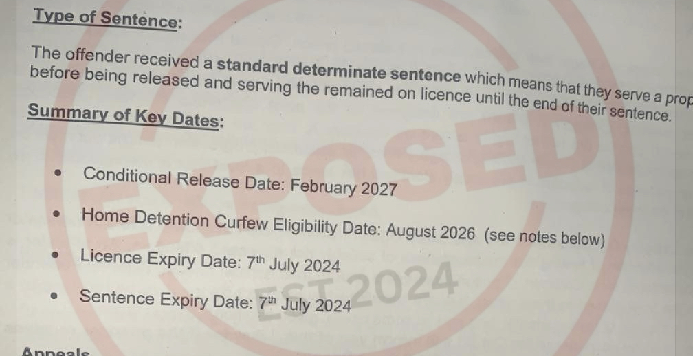 You_Doodle_2025-07-02T20_27_01Z