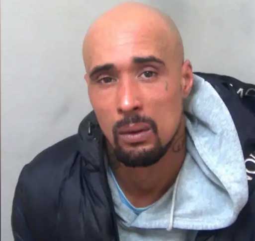 Prosecution of backyard breeder Ashley Warren from Jaywick, Essex, whose illegally owned XL Bully dog mauled a woman to death.