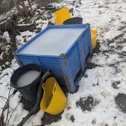 A plastic bucket filled with solid ice, left as the only water source for a horse in freezing outdoor conditions.