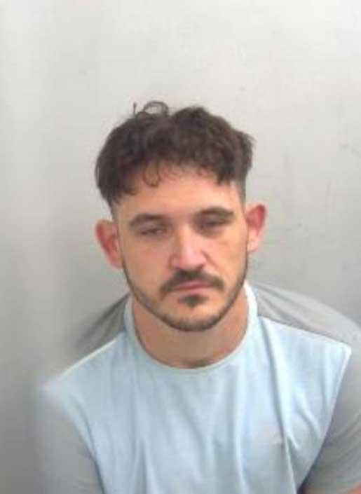 Mugshot 1: Police mugshot of Luke Wall staring directly at the camera, wearing a grey top, photographed against a plain custody background.