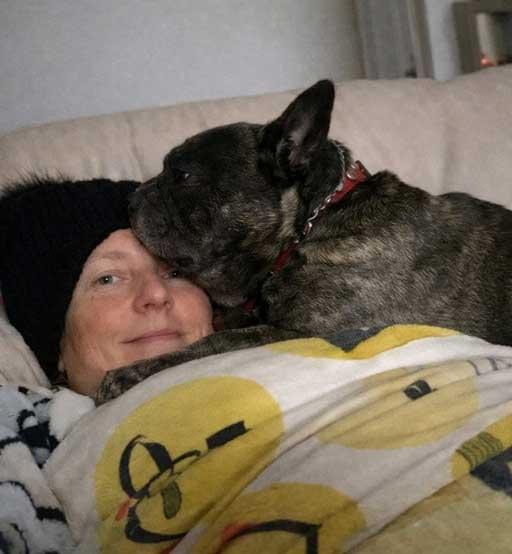 A dark brindle French bulldog wearing a red collar lying on a person who is resting under a patterned blanket. The dog appears relaxed and comfortable, shown here in a moment from before the neglect investigation.
